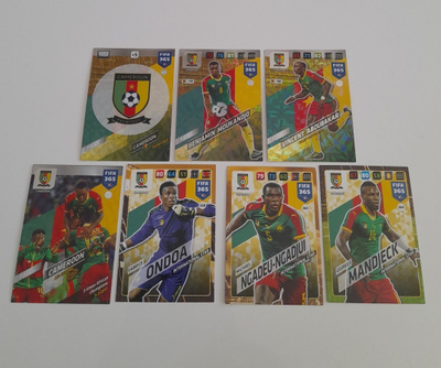 Cameroon : International Stars - FIFA 365: 2017/16