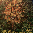 LEENA KROHN: METSÄNPEITTO - pikkukuva 1