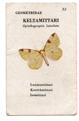 Ikivanha Postikortti KELTAMITTARI
