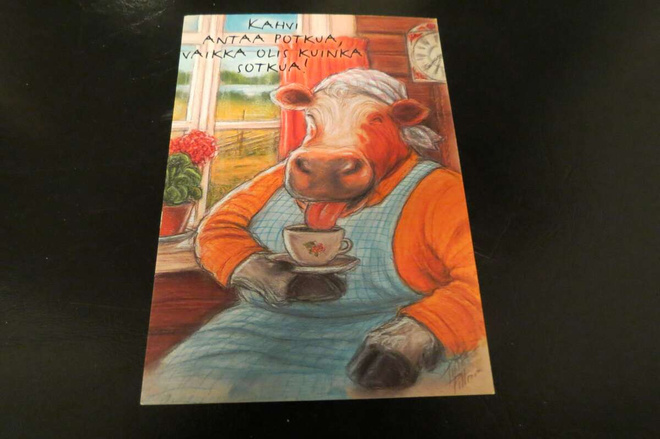 TERHO PELTONIEMI HÖRÖLÄ