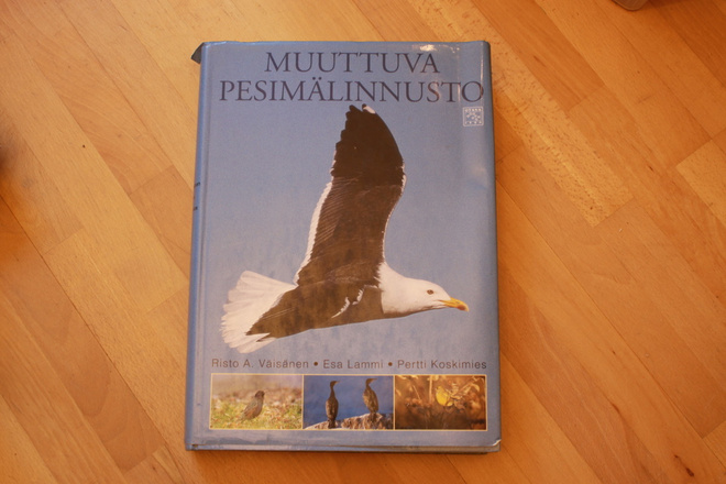 Pertti Koskimies ym. Muuttuva pesimälinnusto Y1