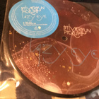 Silversun Pickups Lazy eye kuvasingle Us 2006 altern. - pikkukuva 1