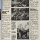 Nykyposti n:o 6 1990 Paula. Miss Suomi. Pirjo. Marskin adjut - pikkukuva 3
