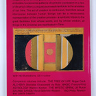 Philip Rawson : Tantra : the Indian cult of ecstasy - pikkukuva 2