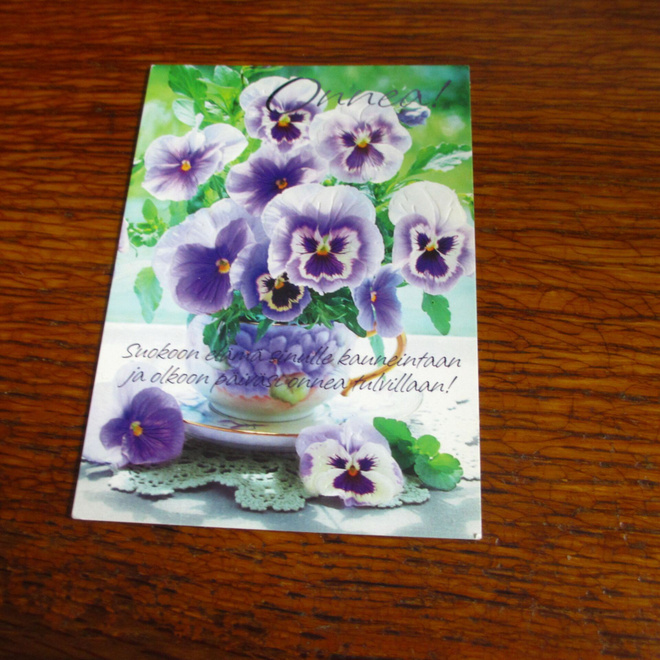 paletti hallmark pk orvokki - onnittelut kohokortti kulkenut
