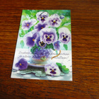 paletti hallmark pk orvokki - onnittelut kohokortti kulkenut - pikkukuva 1