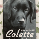 Uma Aaltonen: Colette - pieni musta koira - pikkukuva 1