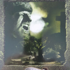 THE WOLFMAN DVD - pikkukuva 1