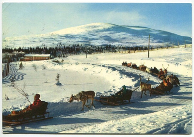 Muonio Pallastunturi pororaito, kulkenut 1969