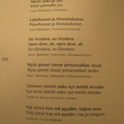 VILLEJÄ RUBIINEJA - Väärin Kuultuja Laulunsanoja - pikkukuva 3