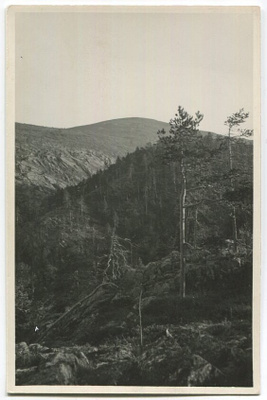 Pelkosenniemi Pyhätunturi 1950-luku