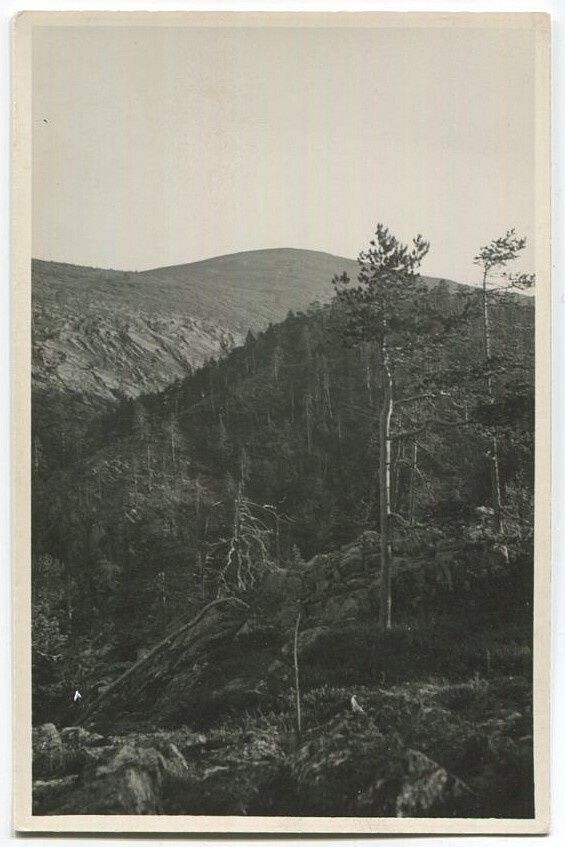 Pelkosenniemi Pyhätunturi 1950-luku