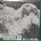 40 WATT SUN - WIDER THAN SKY UUSI 2LP - pikkukuva 2