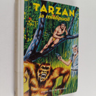 Edgar Rice Burroughs : Tarzan ja mielipuoli - pikkukuva 1