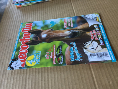 HEVOSHULLU 13/2019 HYVÄ