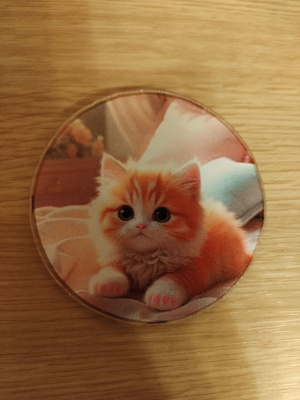 Jääkaappi magneetti.