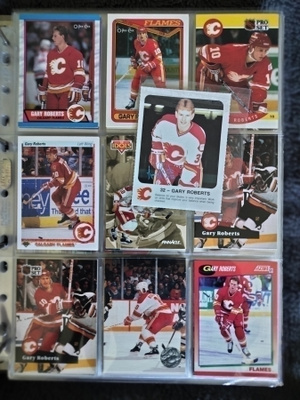 Gary Roberts - 89 erilaista + sivut