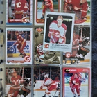 Gary Roberts - 89 erilaista + sivut - pikkukuva 1