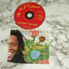 CD Maxi Single Papa Winnie - You Are My Sunshine - pikkukuva 1