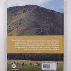 Jane Ellison : Natural knits : 25 unique designs in sumpt... - pikkukuva 2