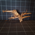Uniikki akvaariojuurakko 57 cm | P052620 - pikkukuva 5