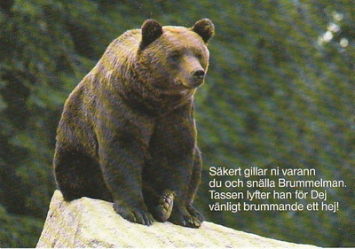 Postikortti, Eläinaihe, eläimet , karhu + Mesikämmen