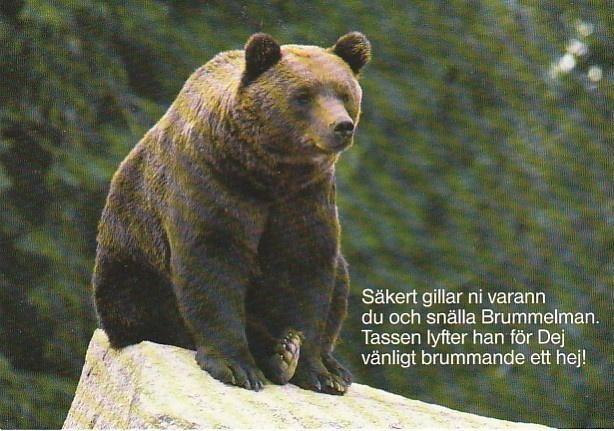 Postikortti, Eläinaihe, eläimet , karhu + Mesikämmen