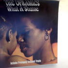 THE DYNAMICS  ::  WHAT A SHAME   ::   FUNK   CD ALBUM  UK !! - pikkukuva 1
