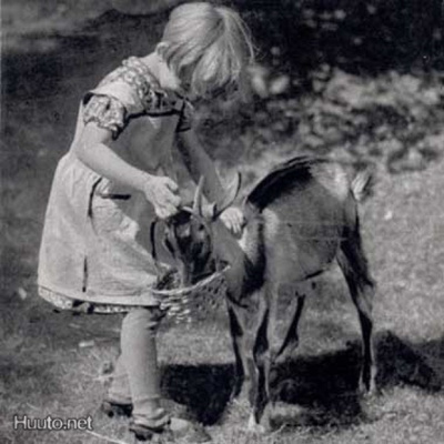 LAPSI / Pieni tyttö antaa ruokaa vuohelle. 1930-l.