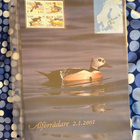 Fdc kuoret 2001 Åland - pikkukuva 2
