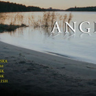 ANGEL dvd 2008 - pikkukuva 3
