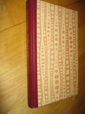 Erkki-Mikael : Tuplavahingosta viisastuu ( Tammi 1.p. 1961 )