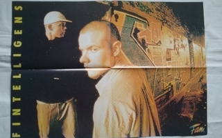 juliste Fintelligens / 3 Doors Down
