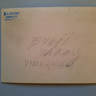 korttioriginaali 1900-l alku Viipuri, huvila, puisto Karjala - pikkukuva 2
