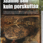 TIETEEN KUVALEHTI n:o 3 2013 Tyypin 1 ja 2 Diabetes. - pikkukuva 5