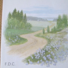 FDC Suomi 1998: kissankello - pikkukuva 3