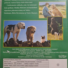 Kotia Kohti Uskomaton Seikkailu DVD - pikkukuva 2