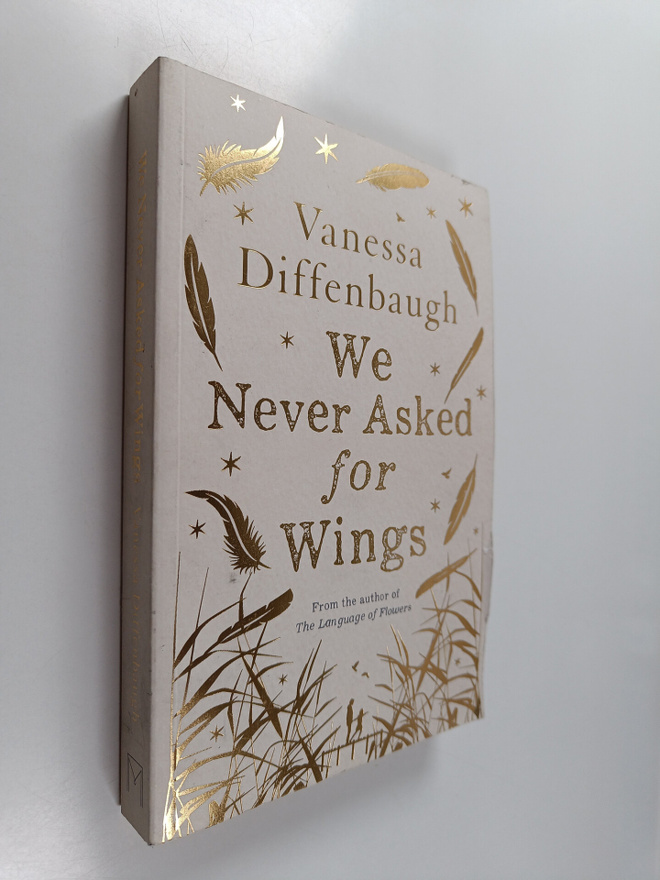Vanessa Diffenbaugh : We Never Asked for Wings