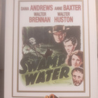 Swamp Water (1941) - pikkukuva 1