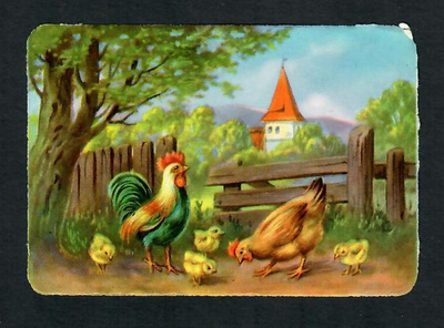 EAS 3011 - Nelkku - Kukko, kana ja tiput - 1950-luvulta!!!
