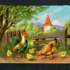 EAS 3011 - Nelkku - Kukko, kana ja tiput - 1950-luvulta!!! - pikkukuva 1