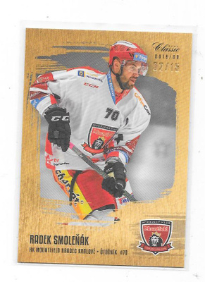 19-20 Tipsport GOLD 02/15 # Radek Smolenak Mountfield Ässät