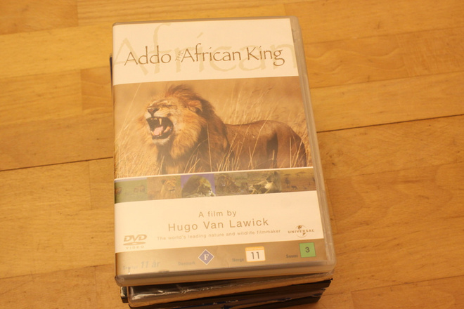 Hugo Van Lawick Addo - The African King  suonitxt DVD
