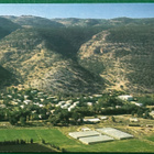 Hyvän uuden vuoden kortti, Israel - pikkukuva 1