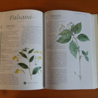 Piirainen-Piirainen-Vainio:Kotimaan luonnonkasvit.Sid. - pikkukuva 4