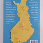 Petri Tamminen : Rikosromaani - pikkukuva 2
