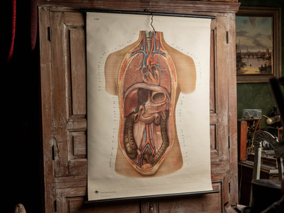Vanha opetustaulu ”torso”, v. 1959