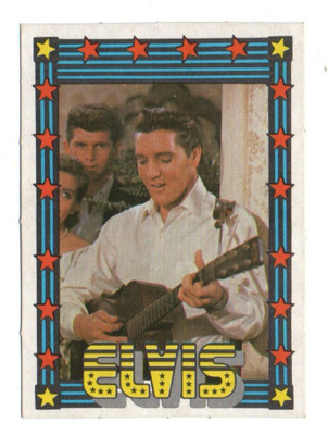 Purkkakuva ELVIS