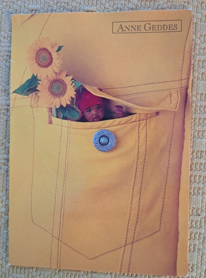 Anne Geddes: vauva kurkistaa taskusta, kulkenut