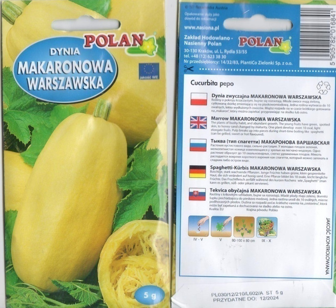 Kurpitsa 'Makaronowa Warszawska' siemenet # 12.2024  -70%!!